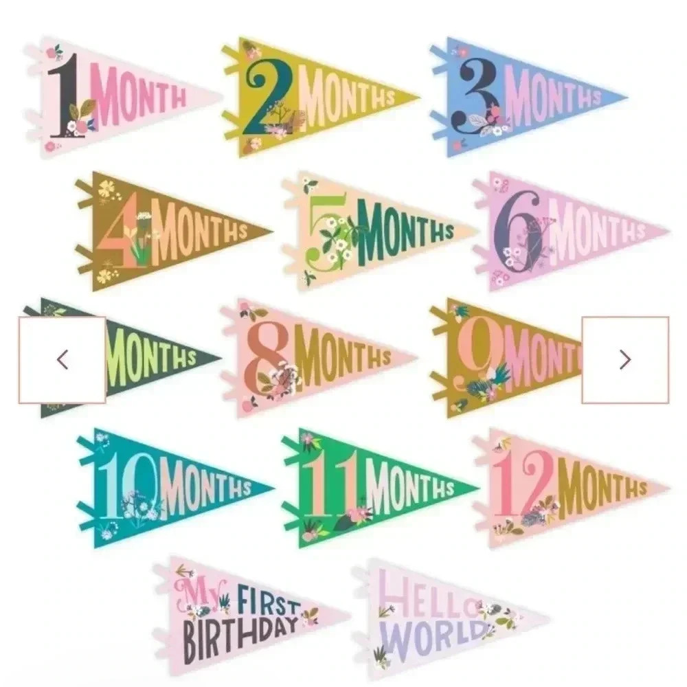 [Lucy Darling] Little Artist Petit Milestone Pennants